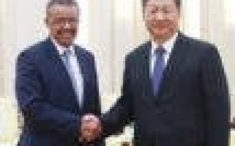 WHO and China: a healthy relationship?