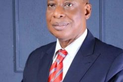 It’s mad propaganda to say Igbo don’t like APC — Nwokafor