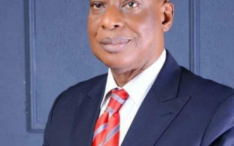 It’s mad propaganda to say Igbo don’t like APC — Nwokafor