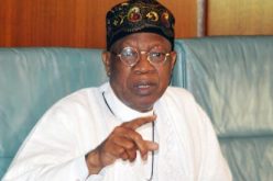 Security services trailing those plotting to destabilise Nigeria — Lai Mohammed