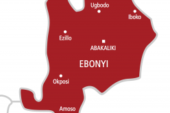 Ebonyi Killing: Fish out Culprits, South East  Senate Caucus tells IGP,  Security Agencies