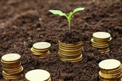 Agribusiness: NASC charges stakeholders to abide by Seed Act 2019