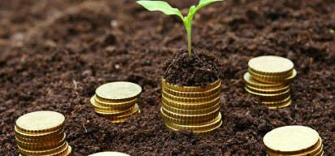 ‘Poor ports system made us spent over N29m on seed importation’