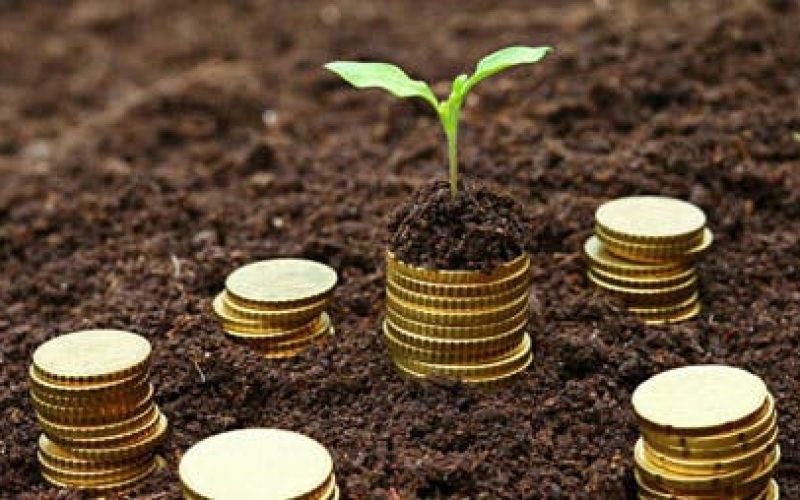 ‘Poor ports system made us spent over N29m on seed importation’