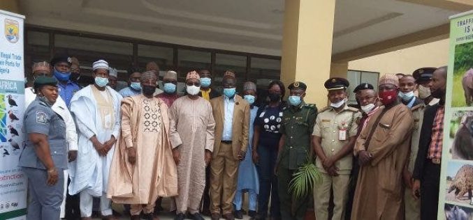 Nigeria lost 97% of forest resources to poaching – NCF
