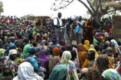 Boko Haram: Women, girls randomly raped in IDPs camps in exchange for food, water – LEDAP