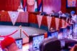 FEC approves $26m for power projects in Borno, Yobe, Adamawa