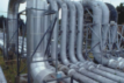 GAS: Deepen investment to maximise benefit — Rain Oil