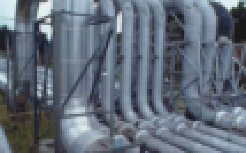GAS: Deepen investment to maximise benefit — Rain Oil