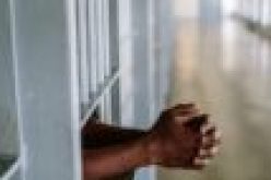 Killer of Kogi PDP women leader bags 12 years jail term