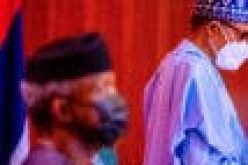 PHOTO NEWS: President Buhari presides over virtual FEC meeting