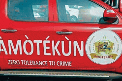INSECURITY: Amotekun, OPC, VGN arrest 11 herders in Oyo