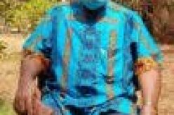 COVID-19: I lost 10kg in 3 weeks, says ex-Gov Victor Attah