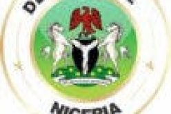 Delta has attained 35% affirmative for women – Commissioner