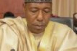 Repatriation: Cameroon hands over 5,000 Nigerian refugees to Zulum