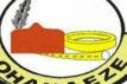 USAID moves to save Igbo language from extinction