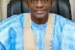 Buni seeks support for economic diversification to reduce dependence on oil