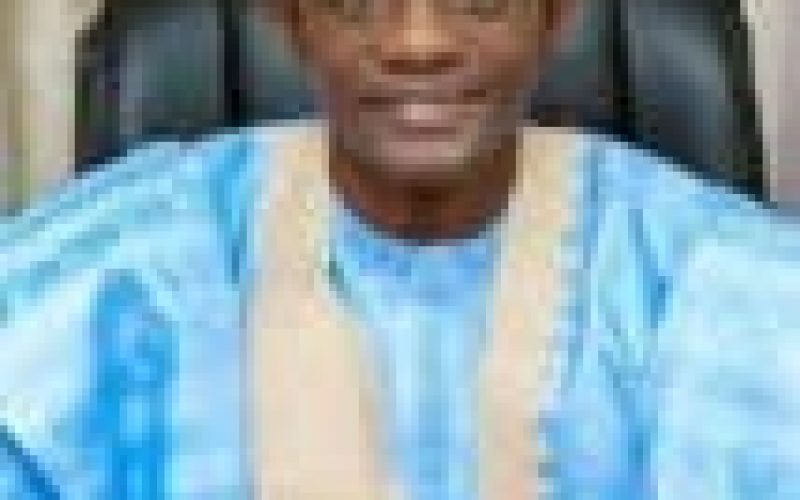Tinubu’s colloquium: APC chairman, Buni advocates unity, tolerance