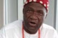 Restructuring, easiest route to realize Nigeria’s potentials – Nwodo