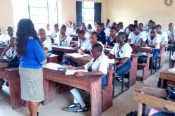 INSECURITY: Yoruba group warns S-West govs over planned terrorists’  attack on schools