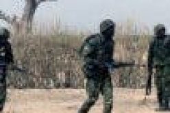 Troops eliminate 25 terrorists in clearance operation  — Army