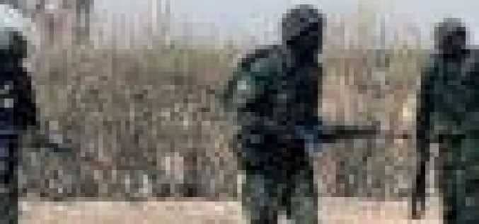 Troops eliminate 25 terrorists in clearance operation  — Army
