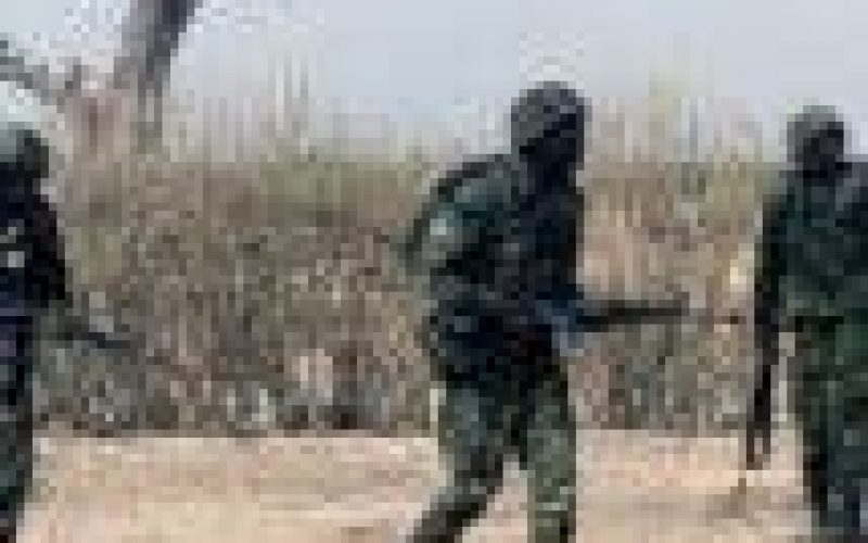 Troops eliminate 25 terrorists in clearance operation  — Army