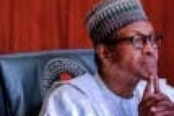 Banditry taking too much toll on us, traditional rulers tell Buhari