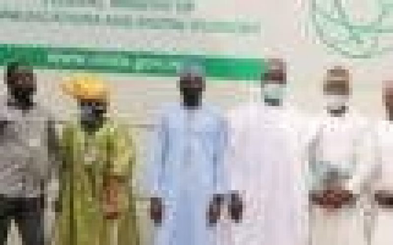 Help us with training to create jobs, fight insecurity in the country — People with Disabilities beg NITDA