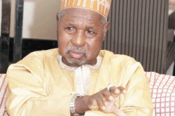 CSO calls on Gov Masari to release anti-corruption activist, Shehu