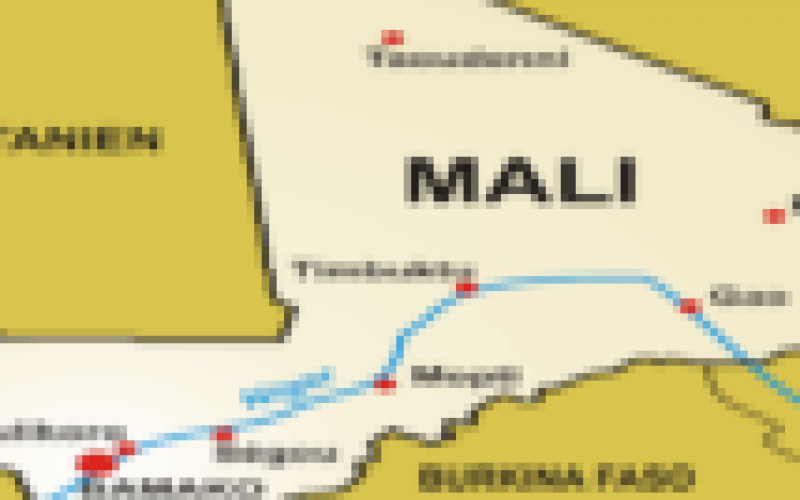 Central Mali deaths: What we know