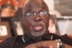Sports minister hails Pinnick on FIFA election