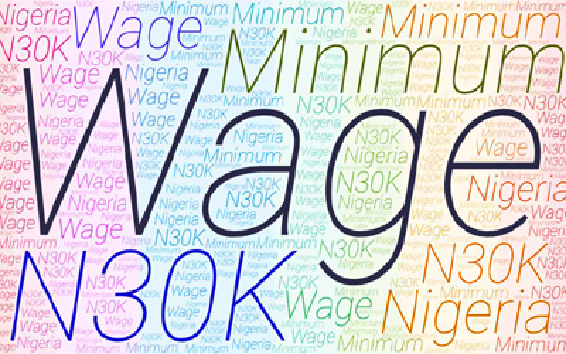 NLC’s position on Minimum Wage based on ‘distorted facts’ — PGF DG