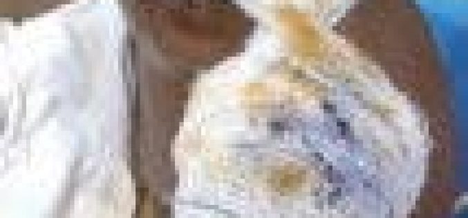 Enugu: Hoodlums beat up chief priest, threaten to drown him