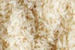 Agribusiness firm hails Nigeria-Benin Republic over move to establish rice farms