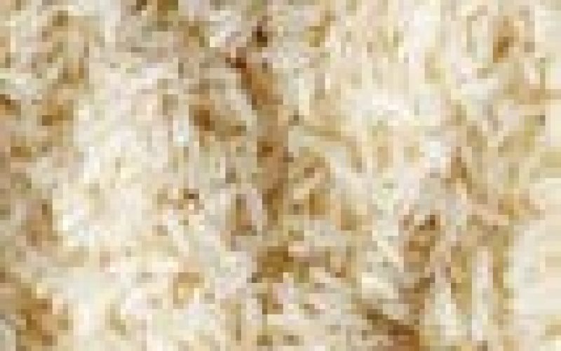 Agribusiness firm hails Nigeria-Benin Republic over move to establish rice farms