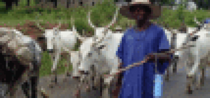 ADF declares support for boycott of Fulani cattle beef to South East