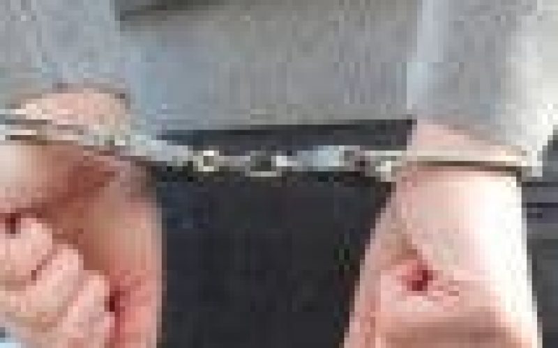 Sweden jails IS mother for jeopardising son’s life