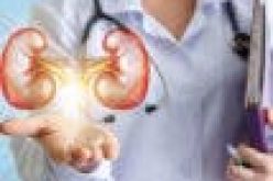 One out of 10 Abians suffering from kidney disease — NMA