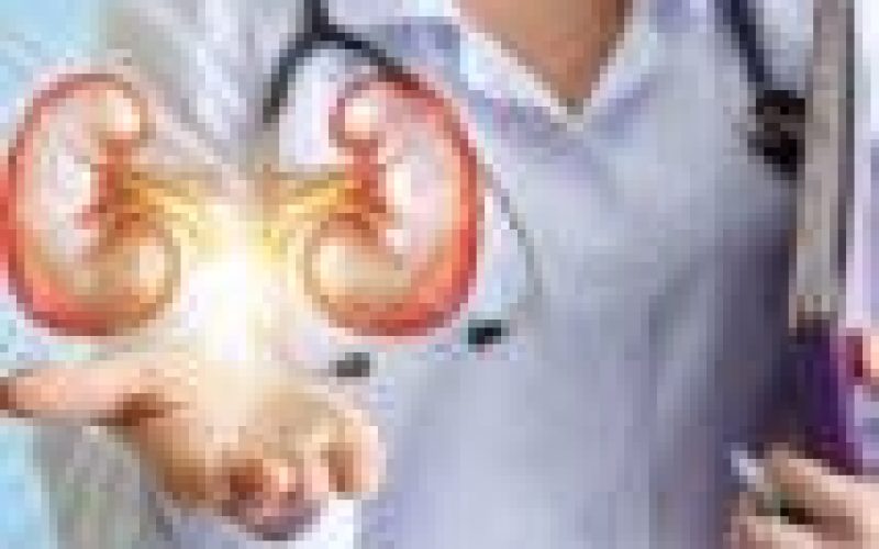 One out of 10 Abians suffering from kidney disease — NMA
