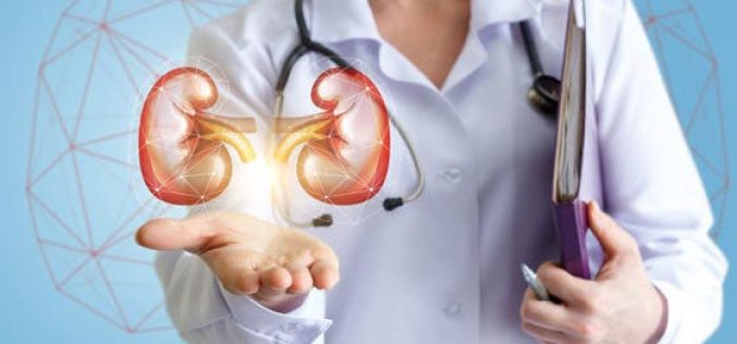 Nephrologist raises alarm over worsening cases of kidney disease in Nigeria