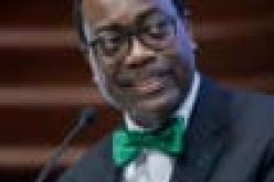 Africa must finance large scale youth-led businesses ― AfDB President
