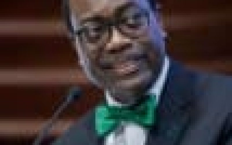 Africa must finance large scale youth-led businesses ― AfDB President