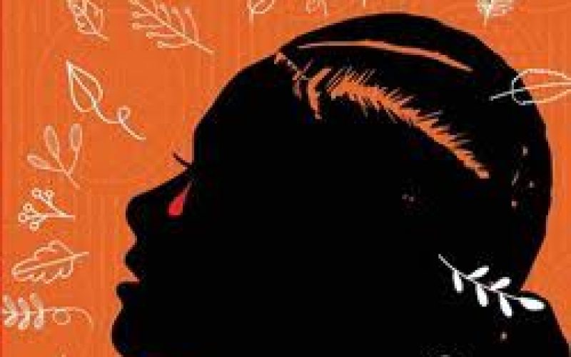 Ndidi Enenmor exploring domestic violence in debut novel
