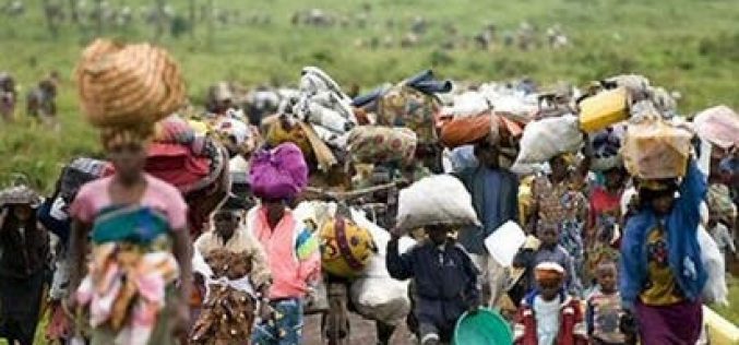 5,000 Nigerian refugees repatriated from Cameroon