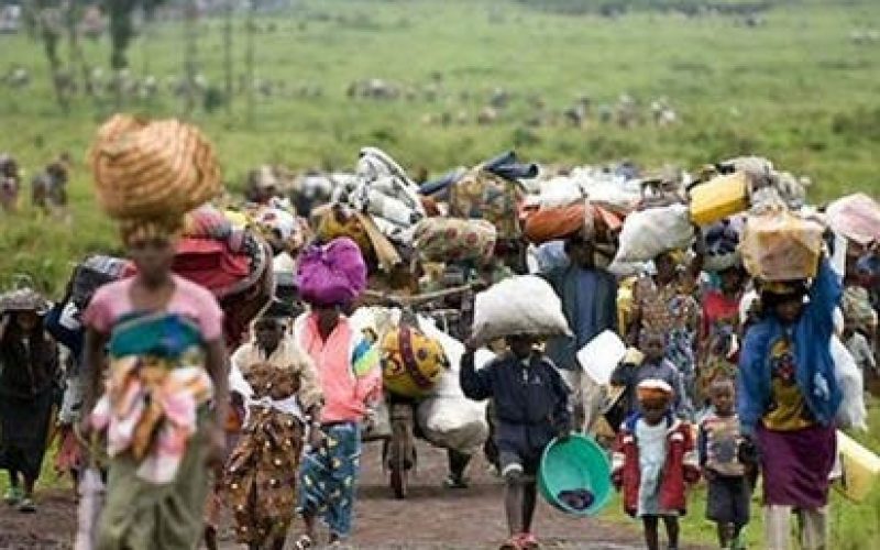 5,000 Nigerian refugees repatriated from Cameroon