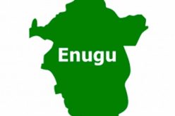 Enugu wins national scientists presidential award
