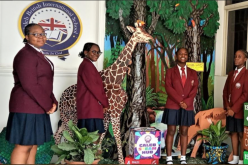 INTERNATIONAL DAY OF FORESTS: Deploying art to tree planting advocacy 