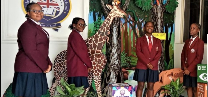 INTERNATIONAL DAY OF FORESTS: Deploying art to tree planting advocacy 