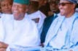 Osinbajo exudes confidence and passion in the performance of his job ―  Buhari